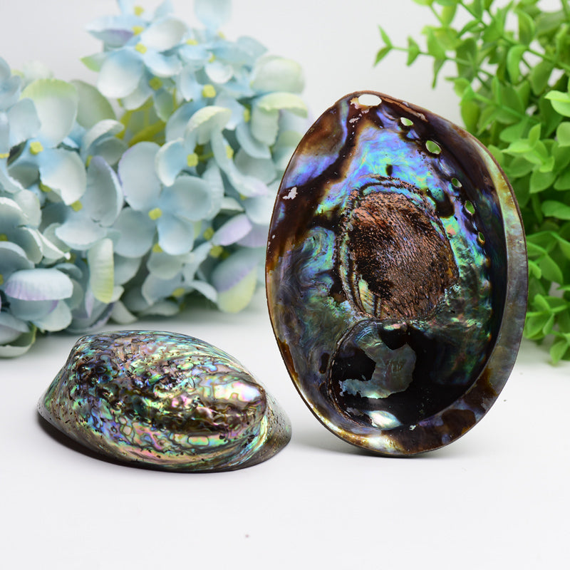 5.0" Aura Shell Free Form Bulk Crystal wholesale suppliers