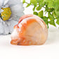 2" Carnelian Skull Crystal Carvings Best Crystal Wholesalers