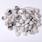 0.1kg White Moonstone bulk tumbled stone Best Crystal Wholesalers