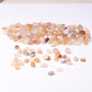 0.1kg 5-10mm High Quality Round Shape Flower Agate Chips Best Crystal Wholesalers