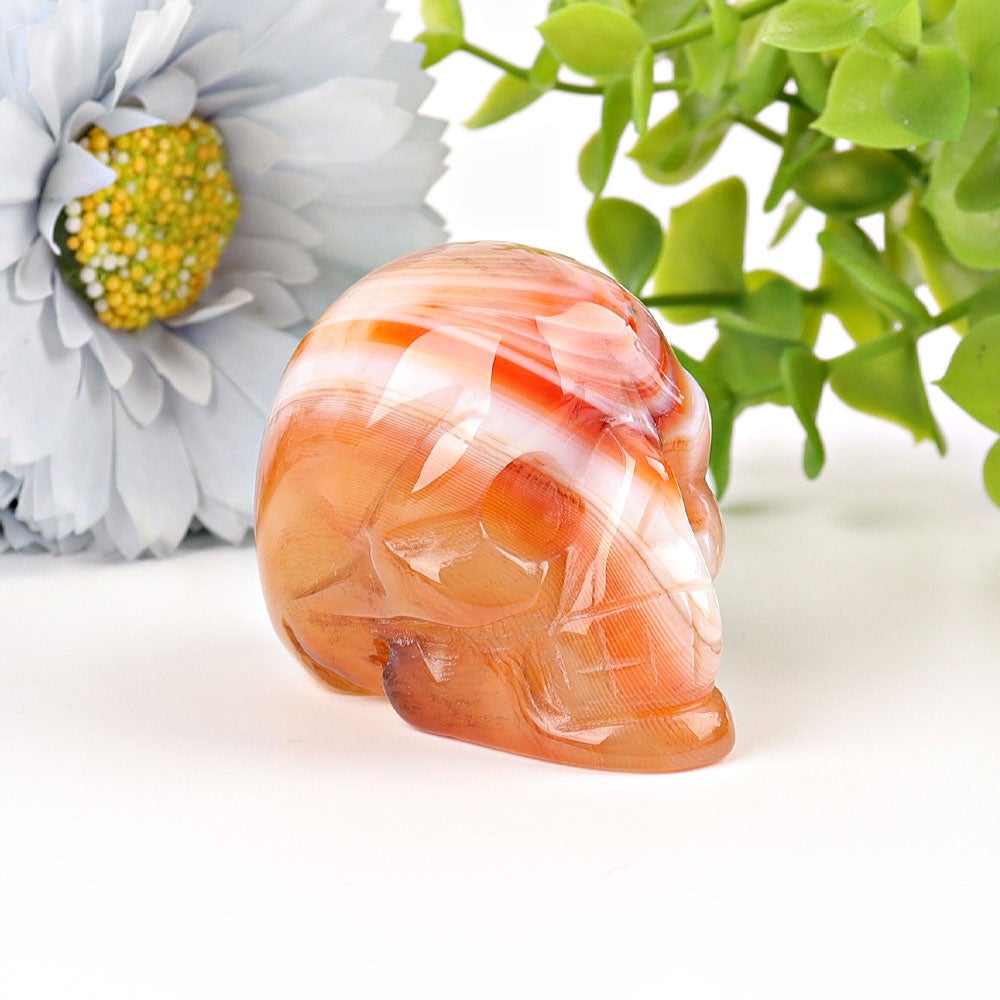 2" Carnelian Skull Crystal Carvings Best Crystal Wholesalers