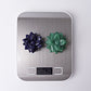 2" Succulent Crystal Carvings Plants Bulk Best Crystal Wholesalers