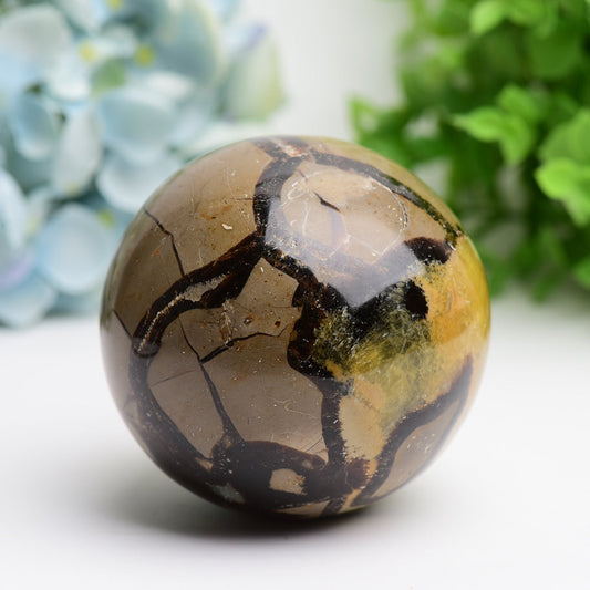 2.0"-3.2" Septarium Septarian Crystal Spheres Bulk Best Crystal Wholesalers
