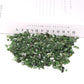 0.1kg Natural Green Jade Crystal Chips Best Crystal Wholesalers