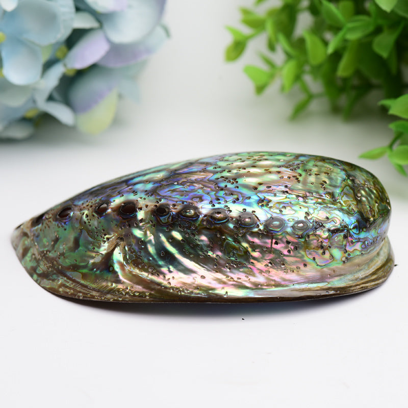 5.0" Aura Shell Free Form Bulk Crystal wholesale suppliers
