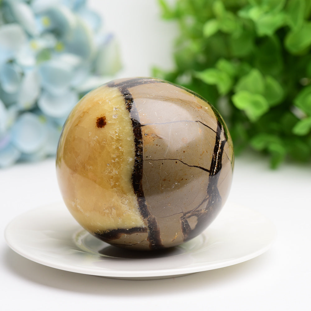 2.0"-3.2" Septarium Septarian Crystal Spheres Bulk Best Crystal Wholesalers