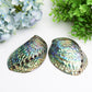 5.0" Aura Shell Free Form Bulk Crystal wholesale suppliers