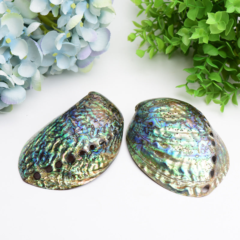 5.0" Aura Shell Free Form Bulk Crystal wholesale suppliers