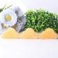 2.8" Yellow Calcite  Cloud Crystal Carvings Model Bulk Best Crystal Wholesalers