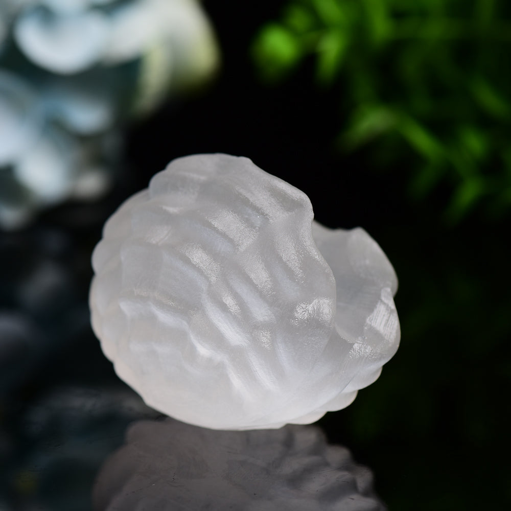 2.4" Selenite Shell Shape Carving Bulk WholesaleBest Crystal Wholesalers