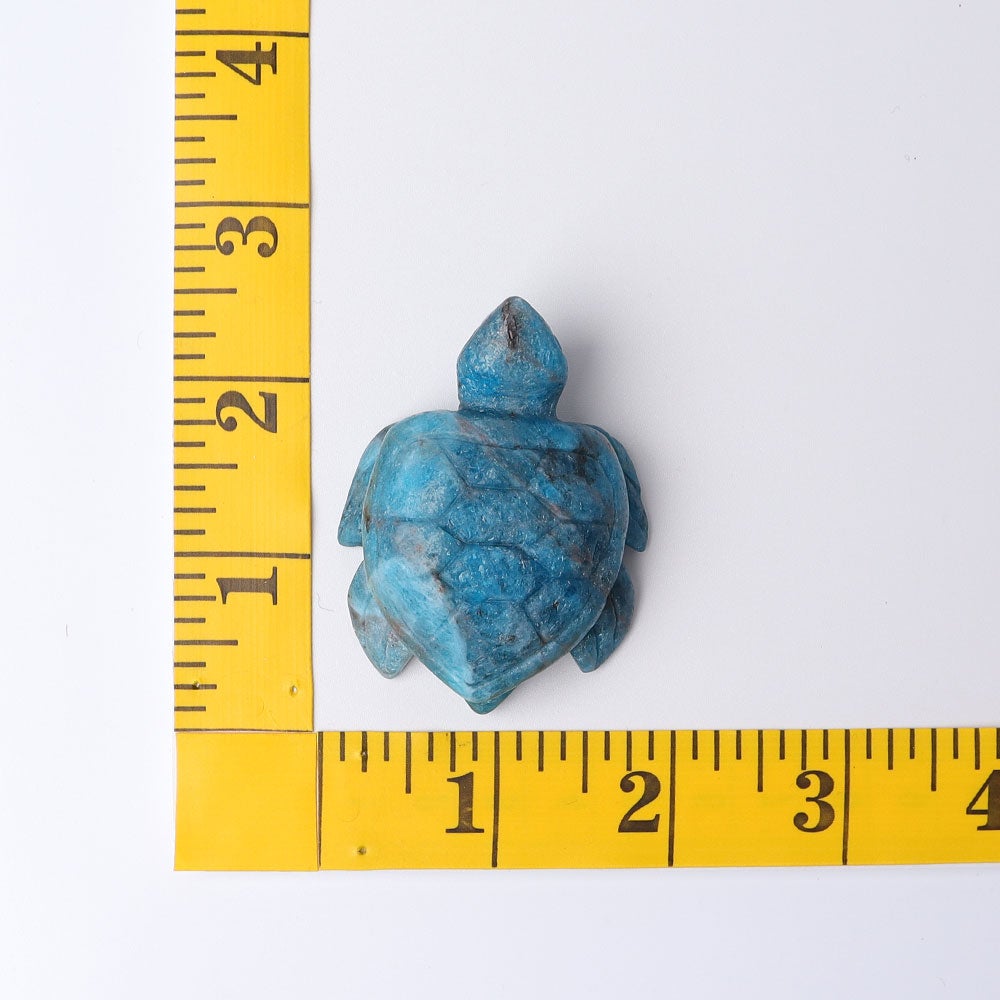 2.3" Blue Apatite Sea Turtle Crystal Carvings Best Crystal Wholesalers