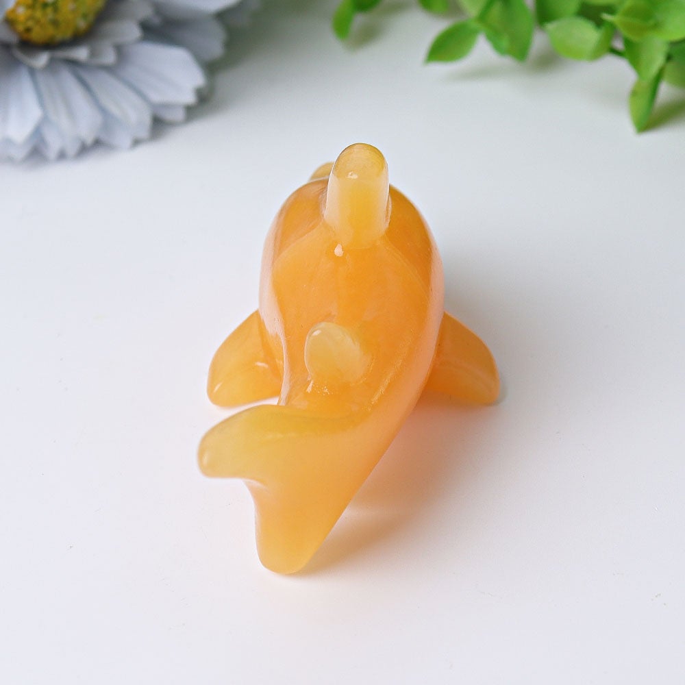 4" Honey Calcite Shark Crystal Carvings Animal Bulk Best Crystal Wholesalers