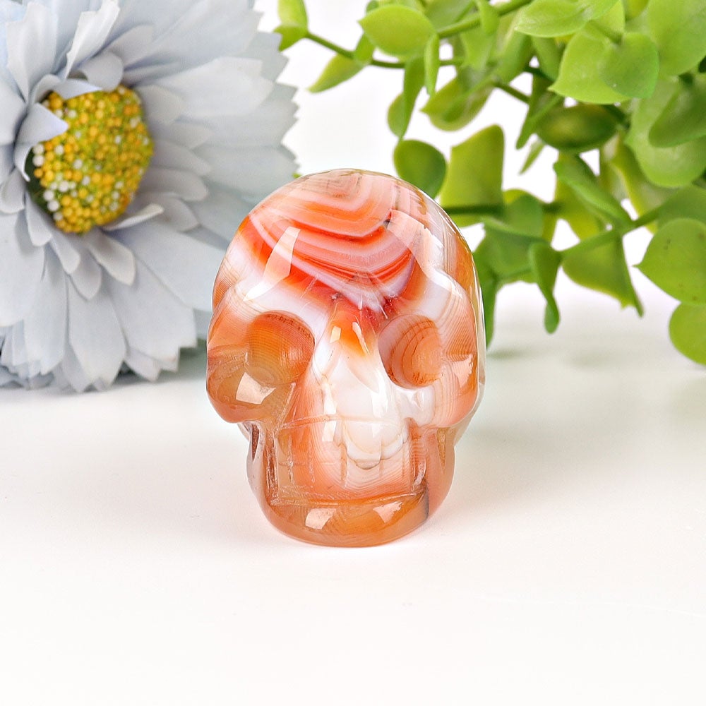 2" Carnelian Skull Crystal Carvings Best Crystal Wholesalers