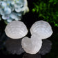 2.4" Selenite Shell Shape Carving Bulk WholesaleBest Crystal Wholesalers