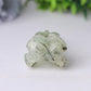 3.5" Natural Prehnite Crow Skull Head Healing Carving Epidote Animal BulkBest Crystal Wholesalers